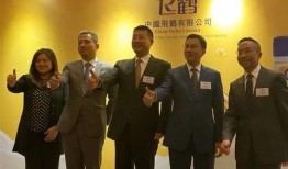 飞鹤最新爆料消息视频大全,揭秘幕后真相与精彩瞬间